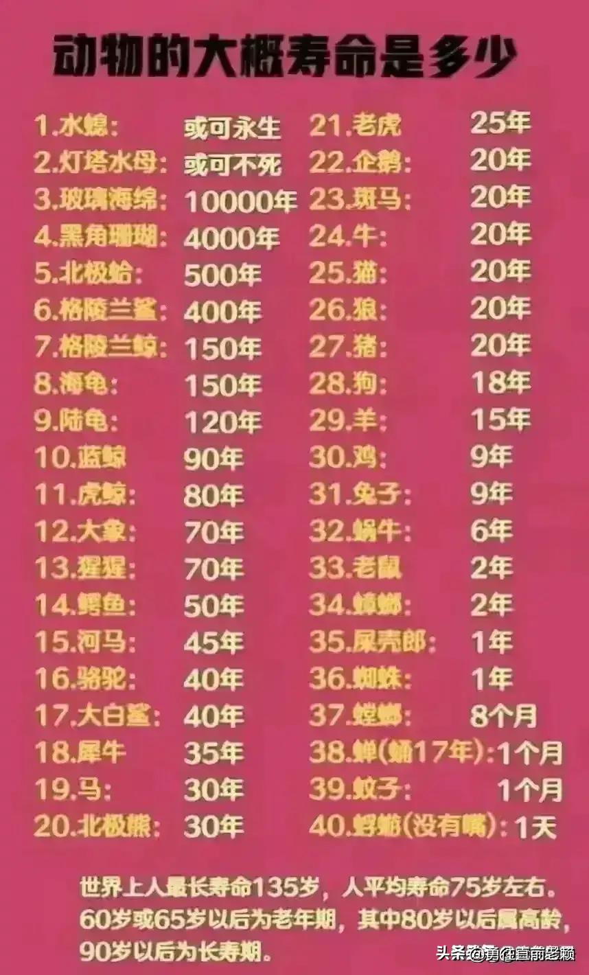 必备电话号码建议收藏起来,生活中需要哪些必备电话号码