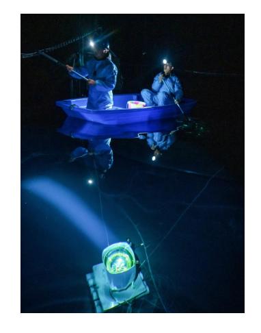 170亩可以建多少个足球场,116公顷几个足球场