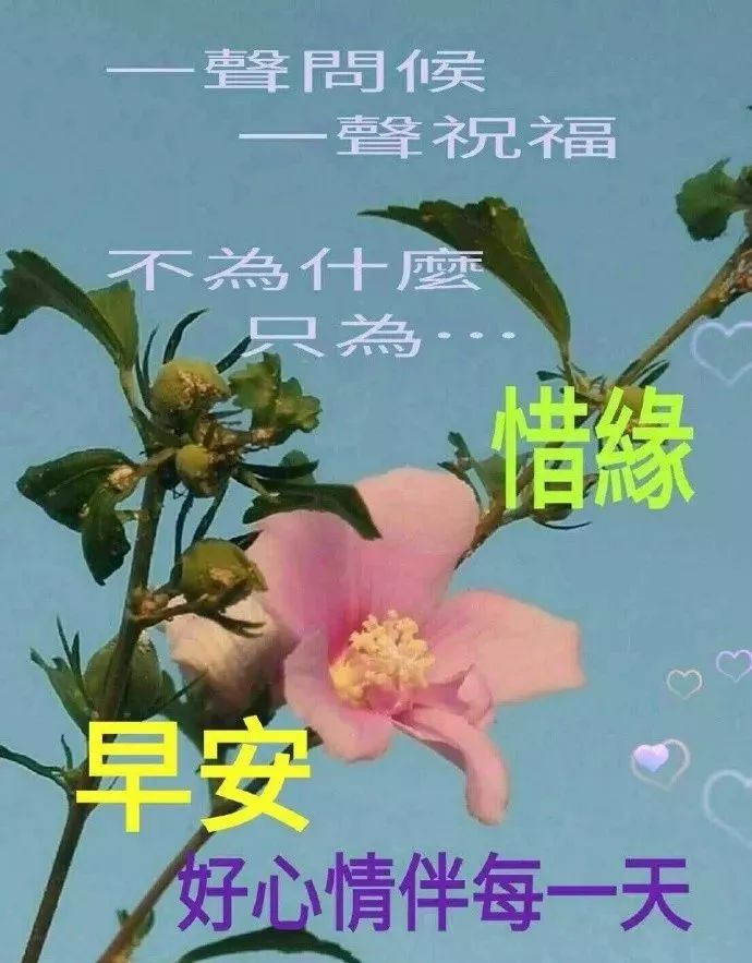 微信祝福朋友早上好语句,微信祝福语早上好简短独特