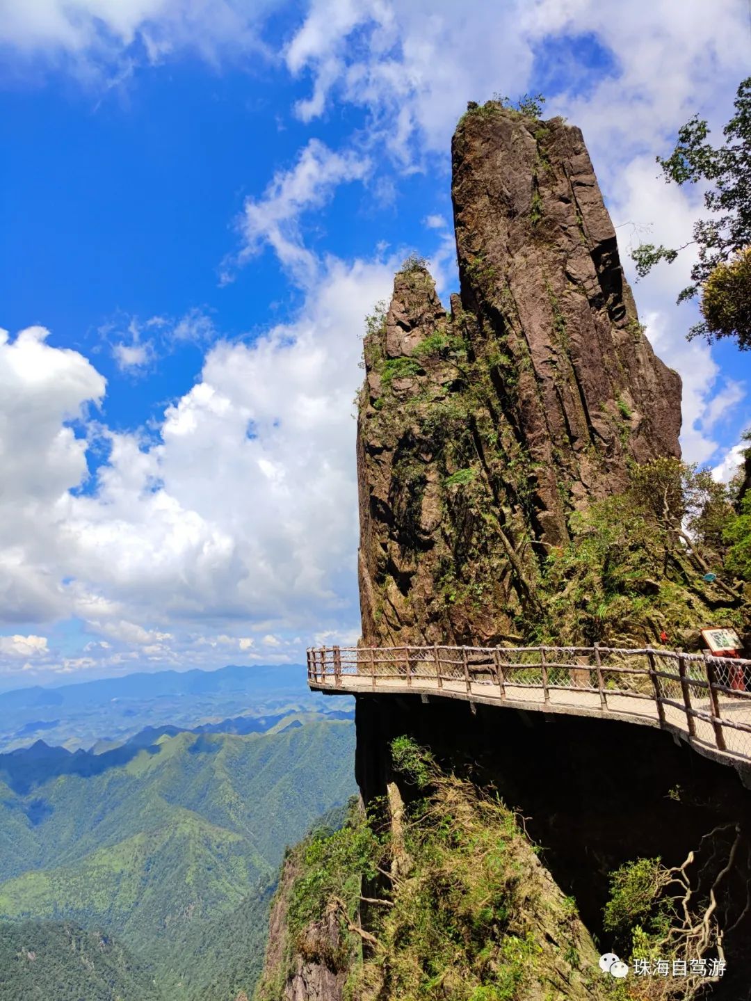 莽山五指峰景区,蟒山国家森林公园旅游攻略