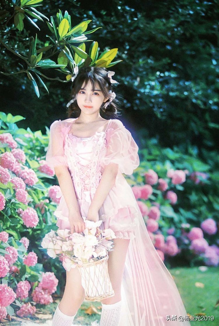 兰花原创七律,春意盎然七律原创诗