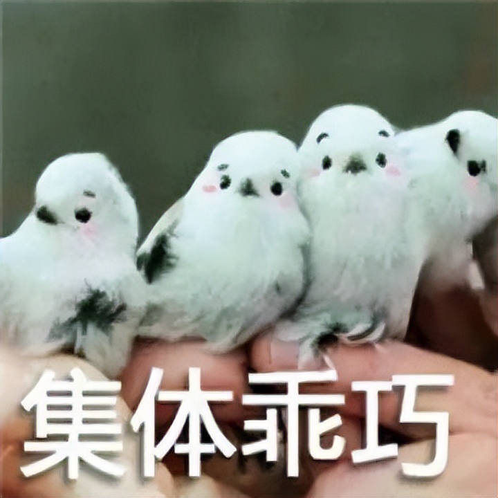 有一种温暖叫爱心送考,在郑州有一种温暖叫爱心助考