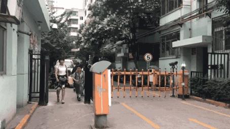 我的猫丢了拿回来要钱怎么办,我的猫丢了隐晦的意思