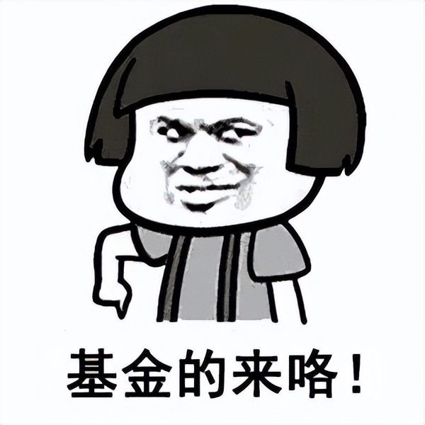 大部分的专业术语,新手基民必须要知道的几件事