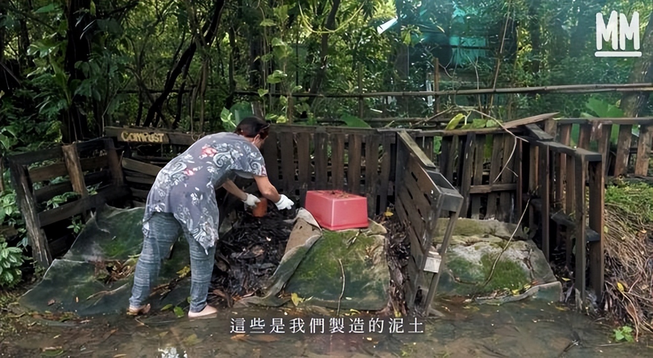 她隐居香港33年，坐拥天然泳池和农场，却用了一辈子二手货！