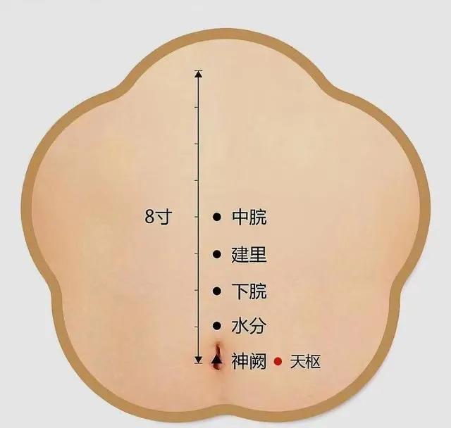 腹胀便秘怎么调理最快最有效,腹胀便秘怎么办最快最有效的办法