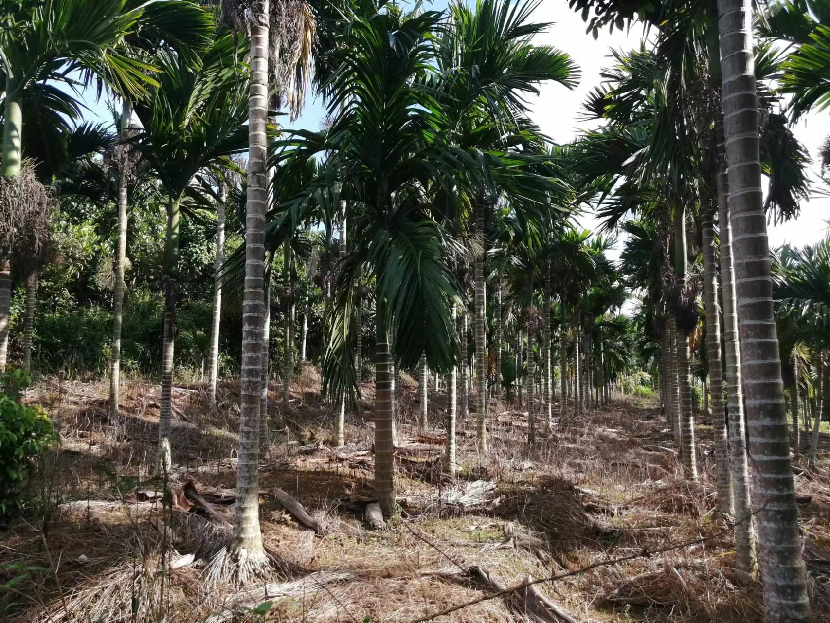 鍐滀笟鍒涙柊鍒涗笟,鍐滀笟鍒涙柊鍐滄皯鍒涗笟