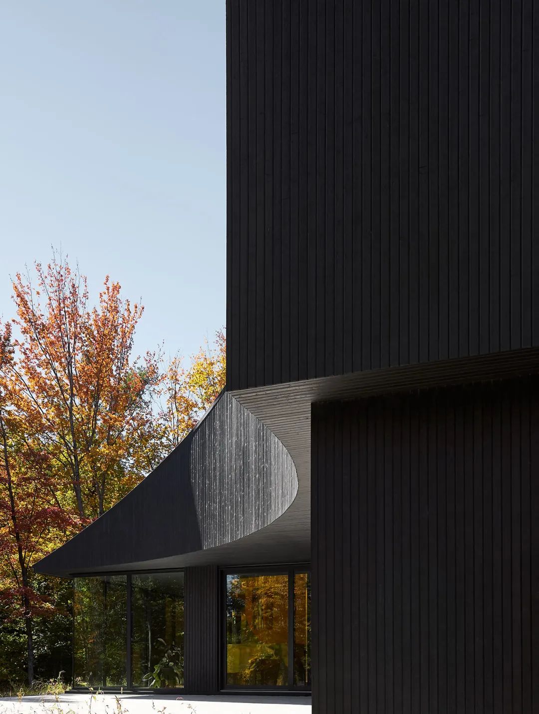 他们把家搬到了森林里，一间森林