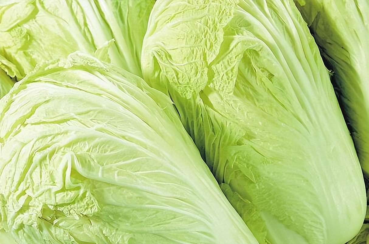 甲状腺结节能吃白菜和卷心菜吗,甲状腺结节的人能吃白菜吗