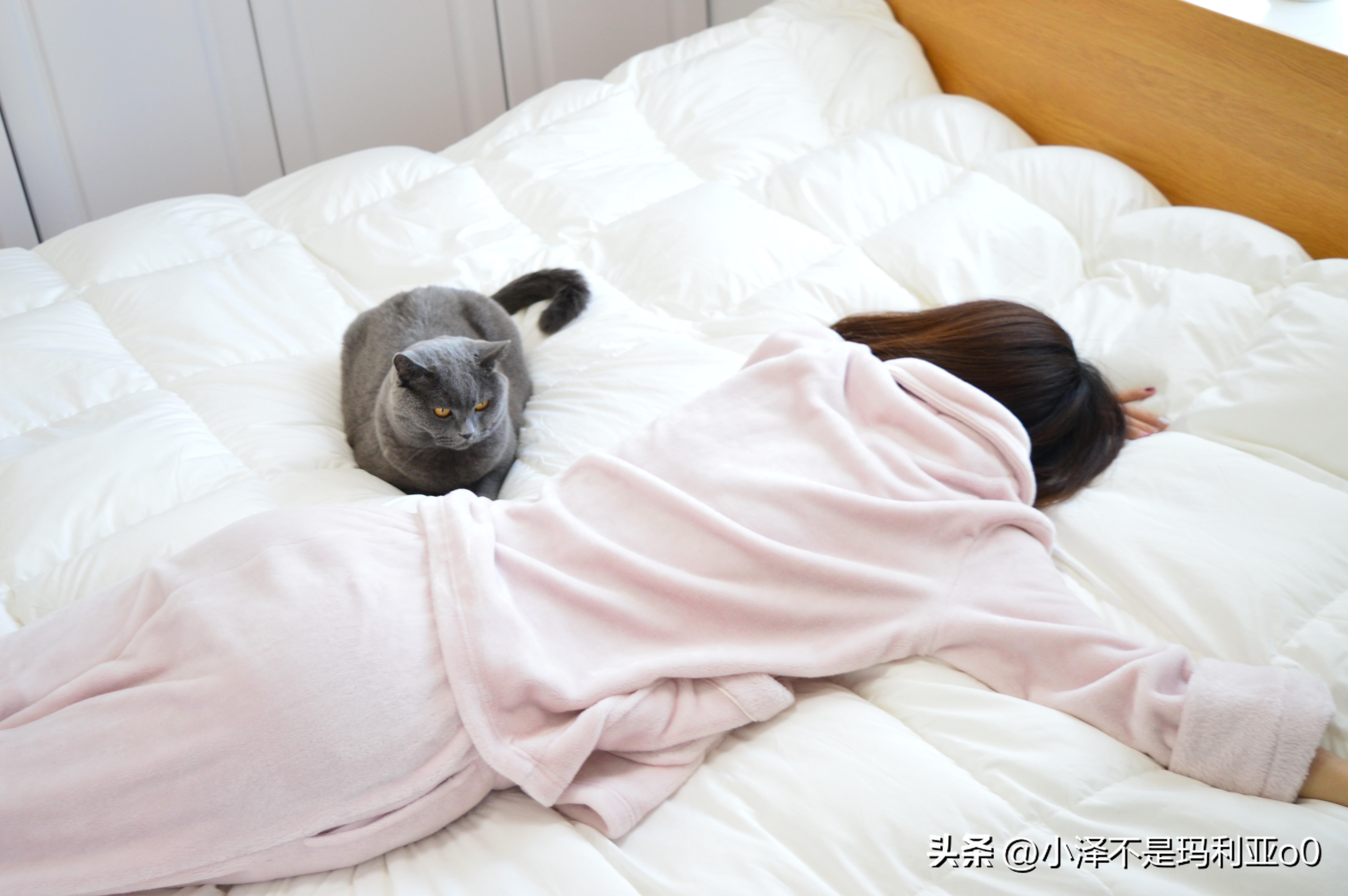 羽绒被品质好还是鹅绒被品质好,如何挑选性价比高的羽绒被