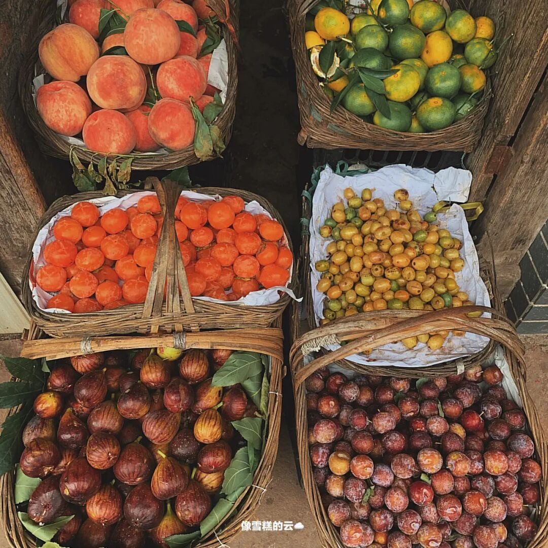 金鸡菊花海旅游攻略,金鸡菊花海美景