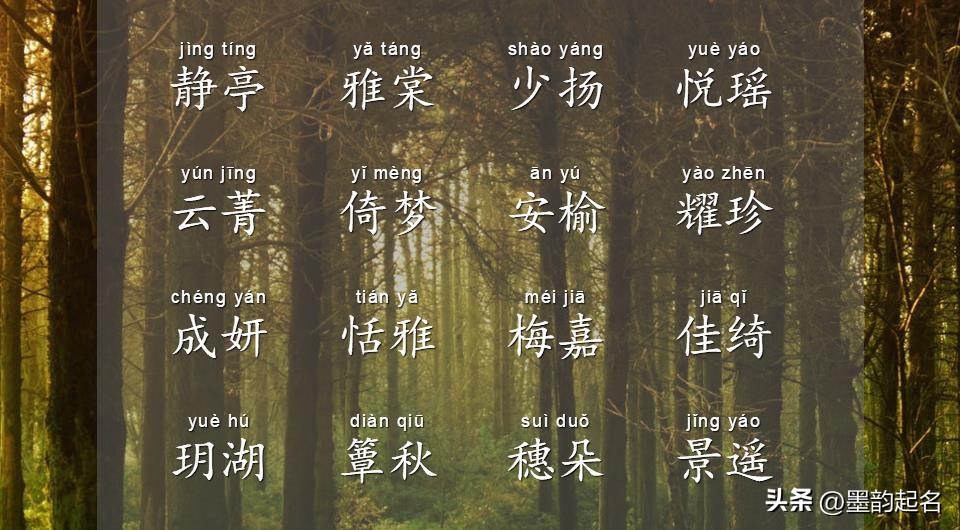 很有书香气息的名字,书香气的女孩小名