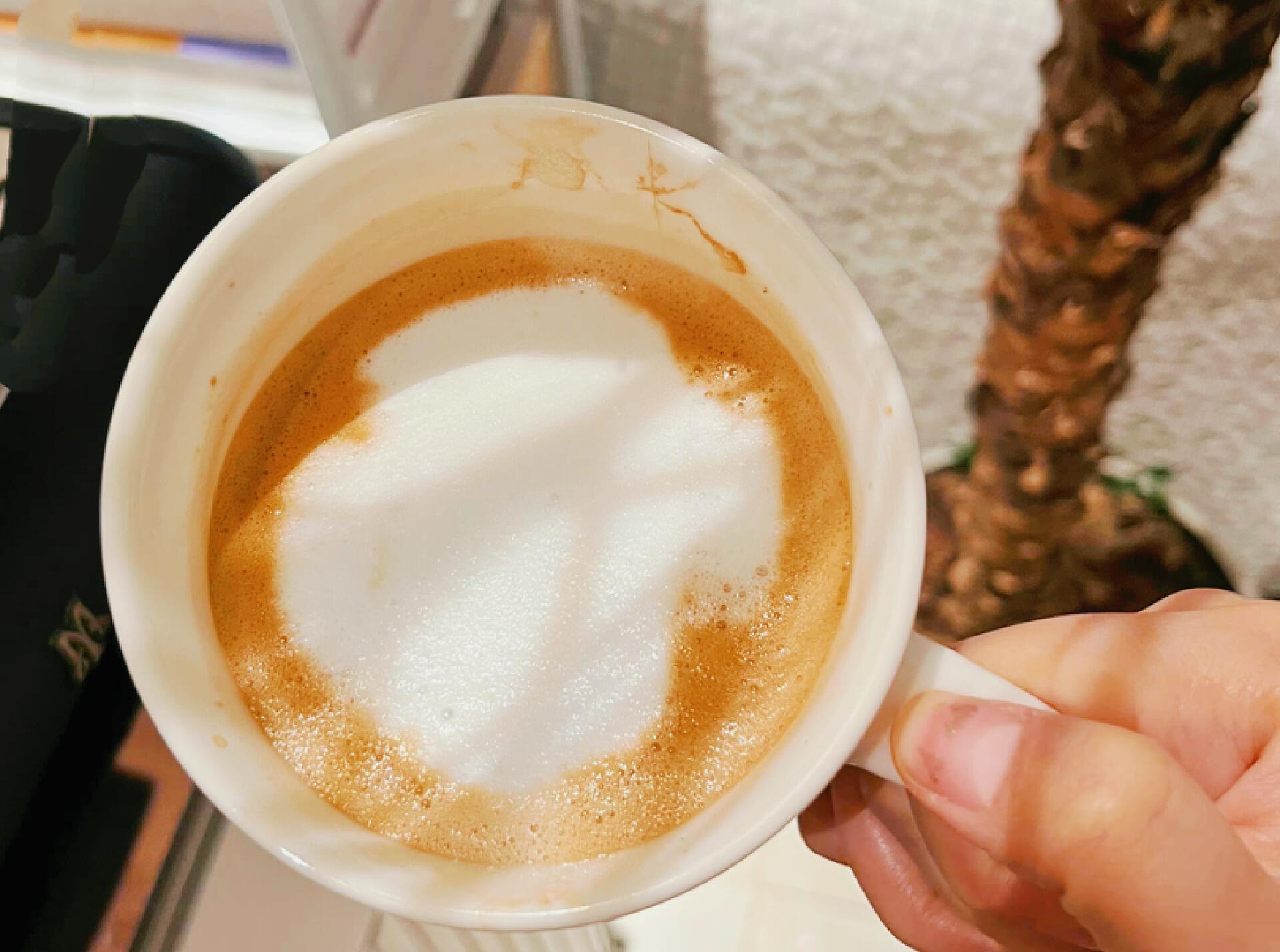 宜盾普EOS意式咖啡机怎么样,宜盾普咖啡机