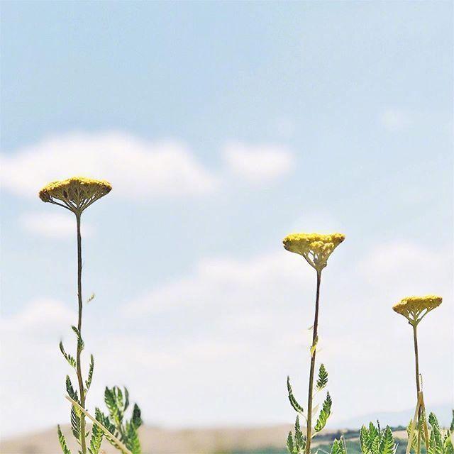 林徽因感叹人生的经典句子,感叹人生无奈心酸的句子朋友圈