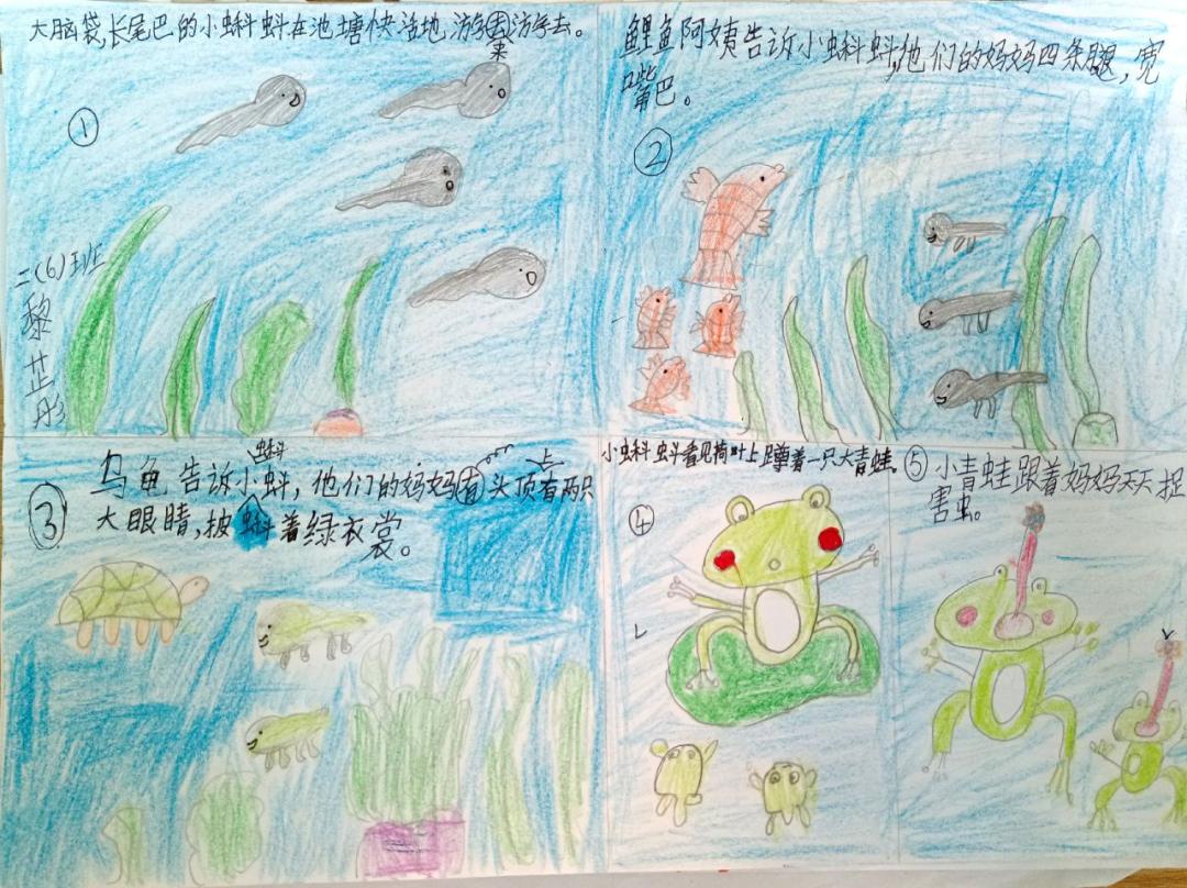 双减优秀案例从哪几个方面写,双减作业案例获奖范文