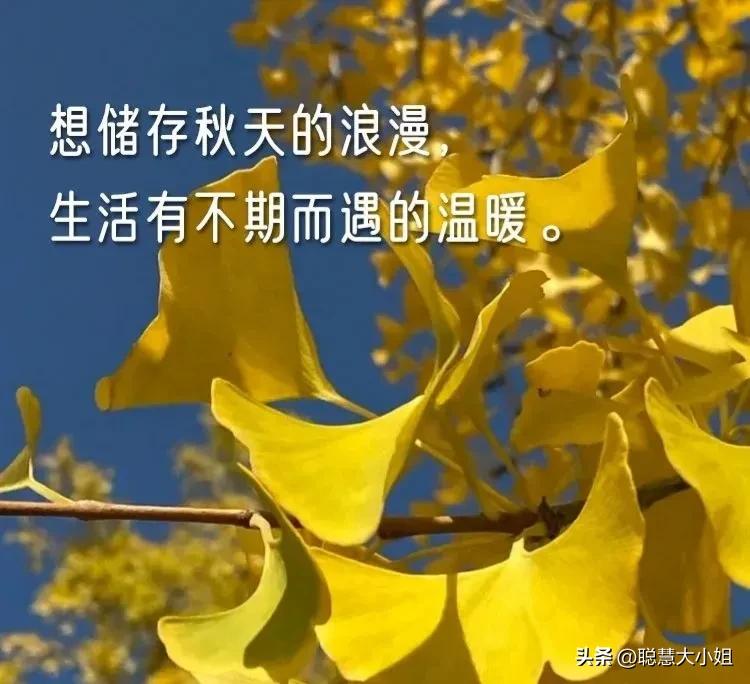 南京赏秋枫叶,南京秋天赏枫叶好去处