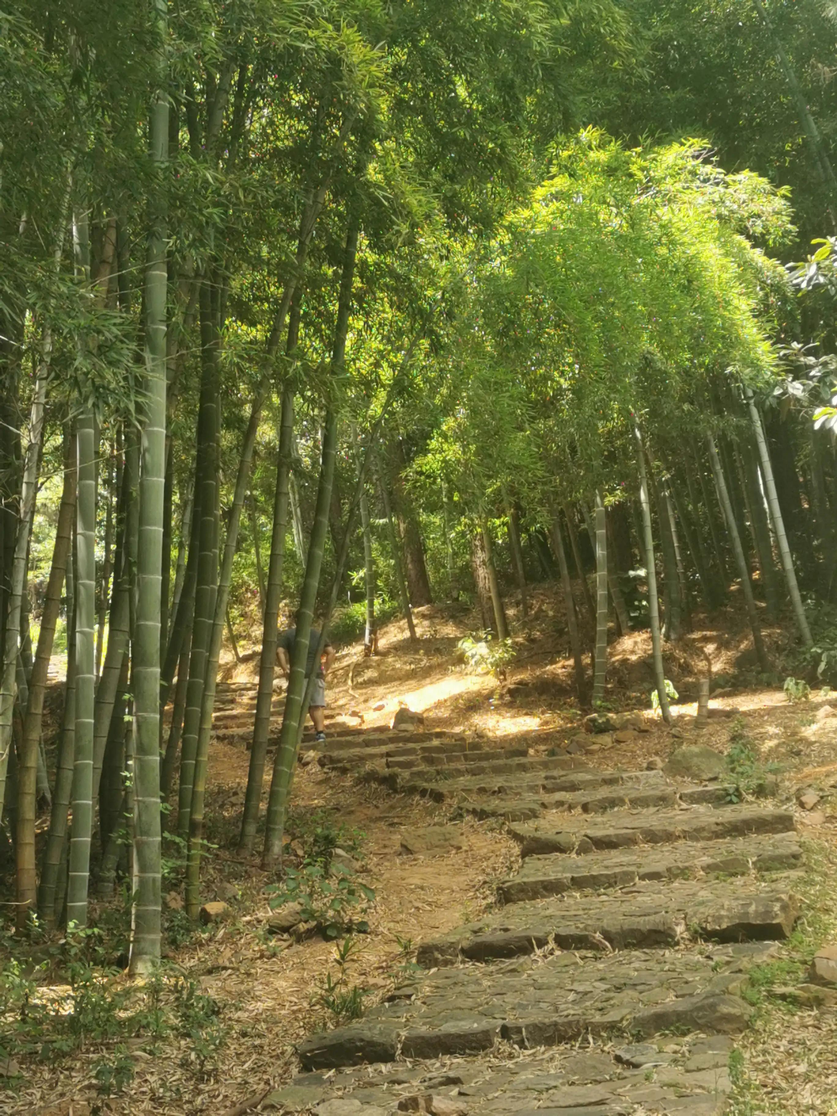 苏州旺山到上方山徒步线路,苏州旺山风景区爬山路线