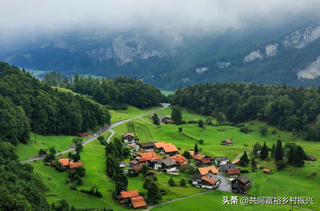 以数字经济助力乡村产业振兴案例,基层党建引领乡村振兴主要案例