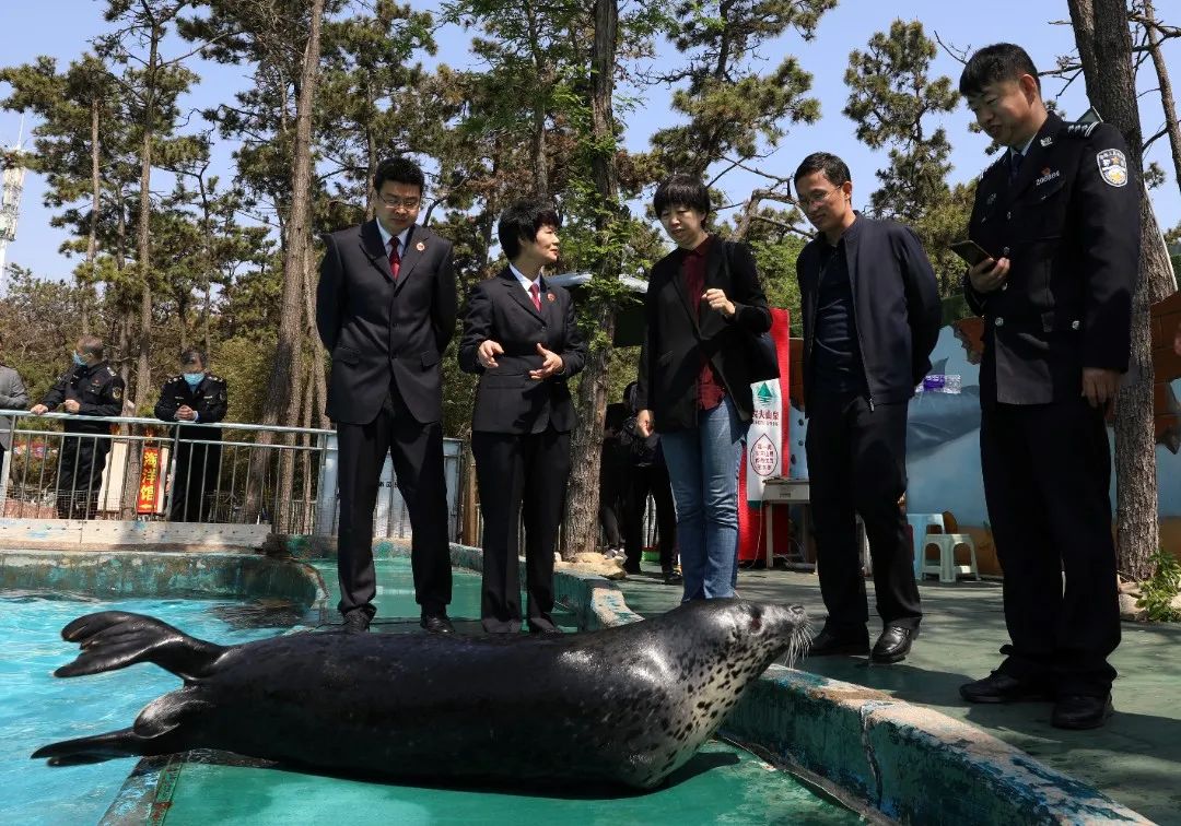 最高法院办理生态环境公益诉讼,检察院公益诉讼典型案例课程