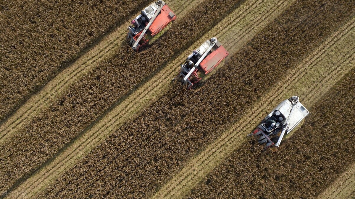 久保田稻谷收割机2020款价格,久保田水稻收割机价格一览表