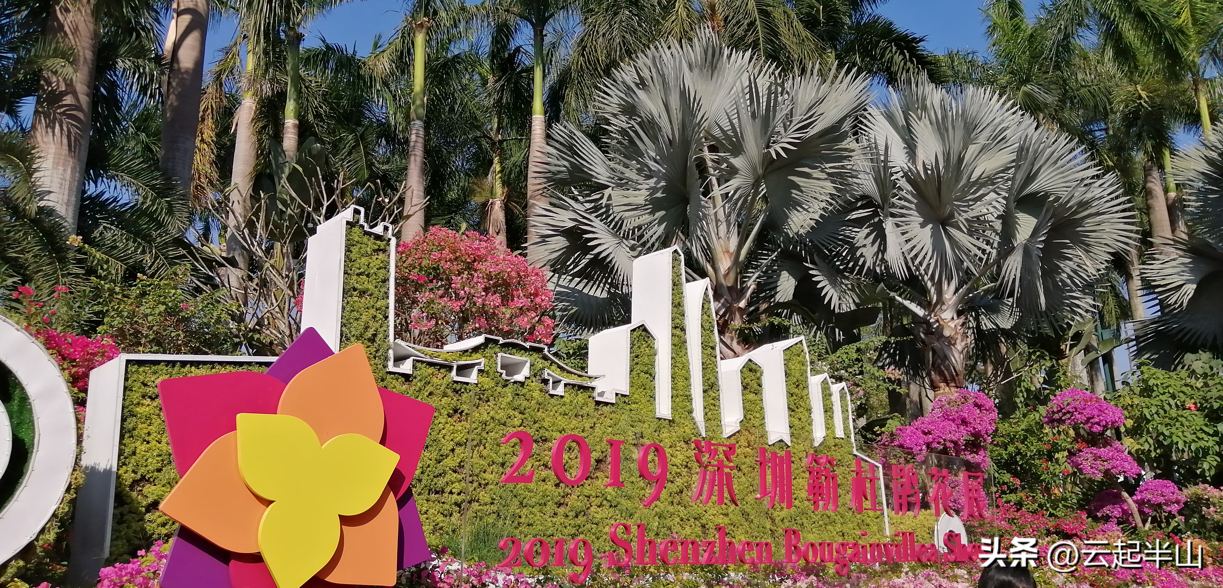 浅浅地玩、深深的圳