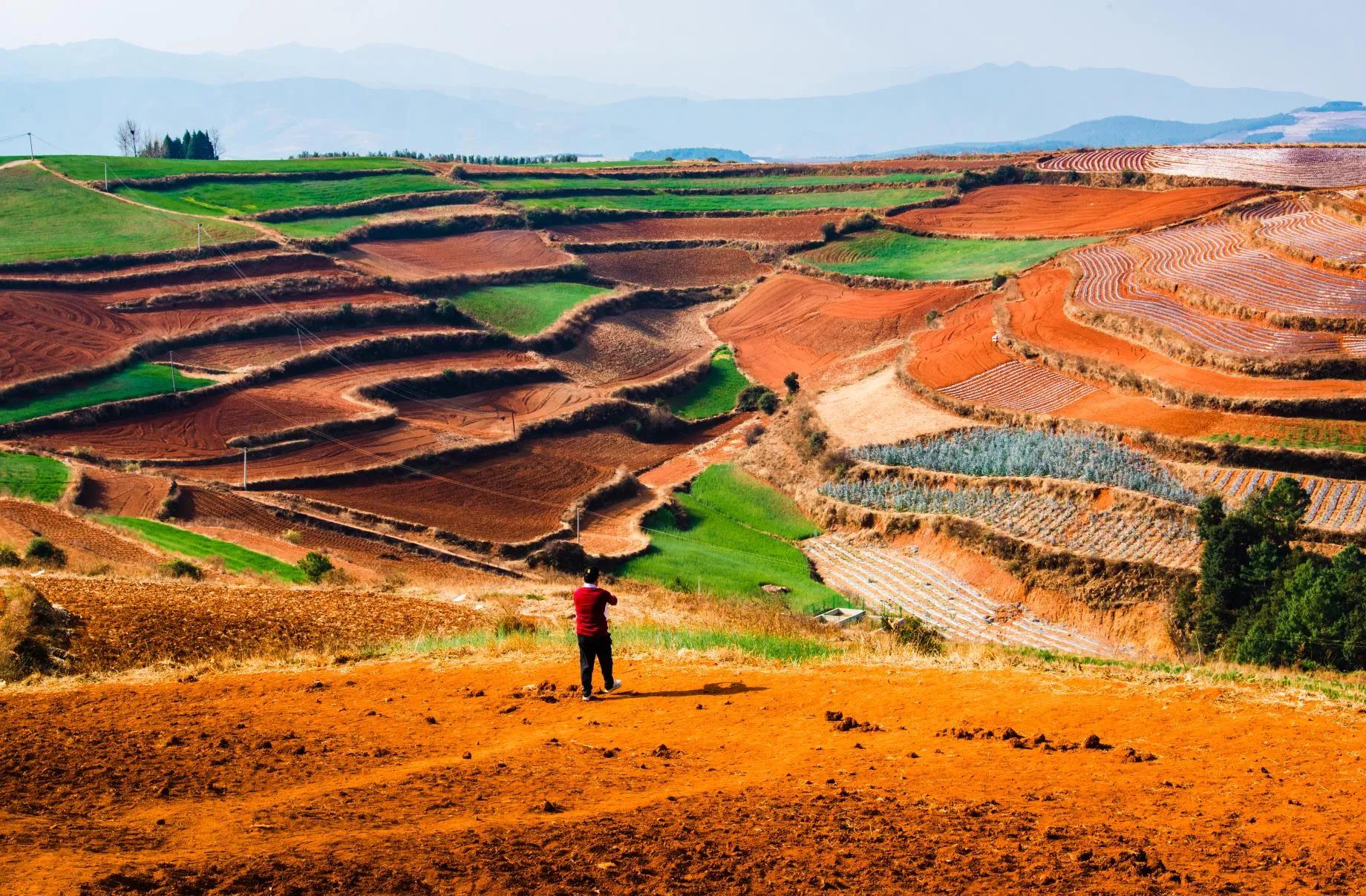 西双版纳10日行——走遍春夏秋冬，总会有人四季等你。