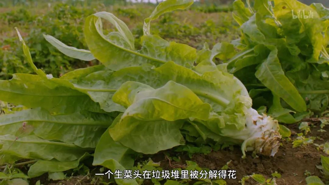 最后一部良心之作,一部真正良心之作全程毫无尿点