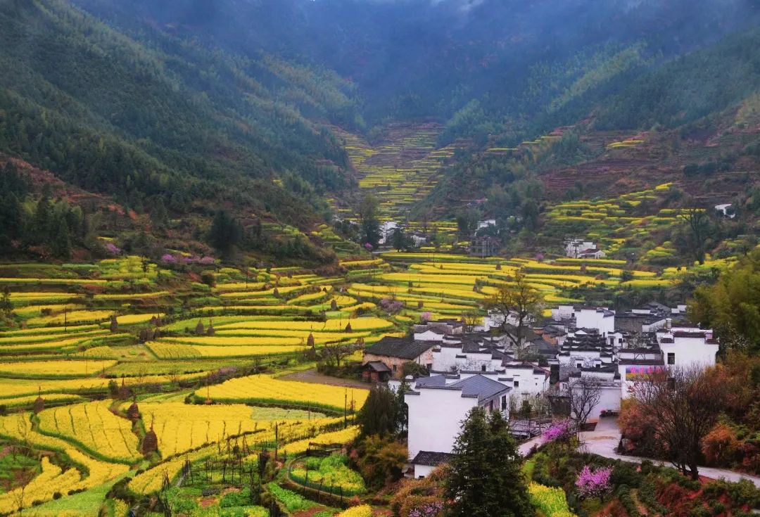 2020梦幻之秋婺源三天摄影创作团,醉美婺源摄影地点推荐