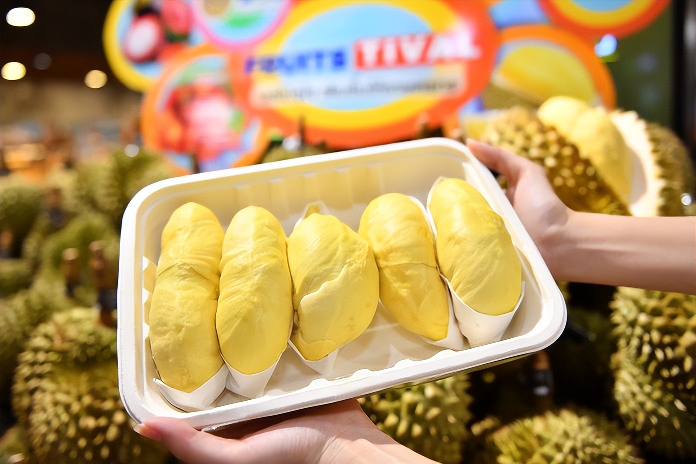 泰国南部榴莲上市对价格有冲击吗,3月份泰国金枕榴莲行情预估