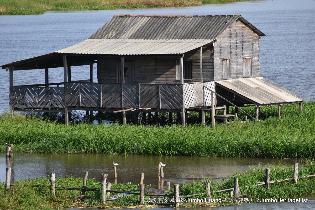 第5047回：消失的亚马逊文明，流失的林下聚居地