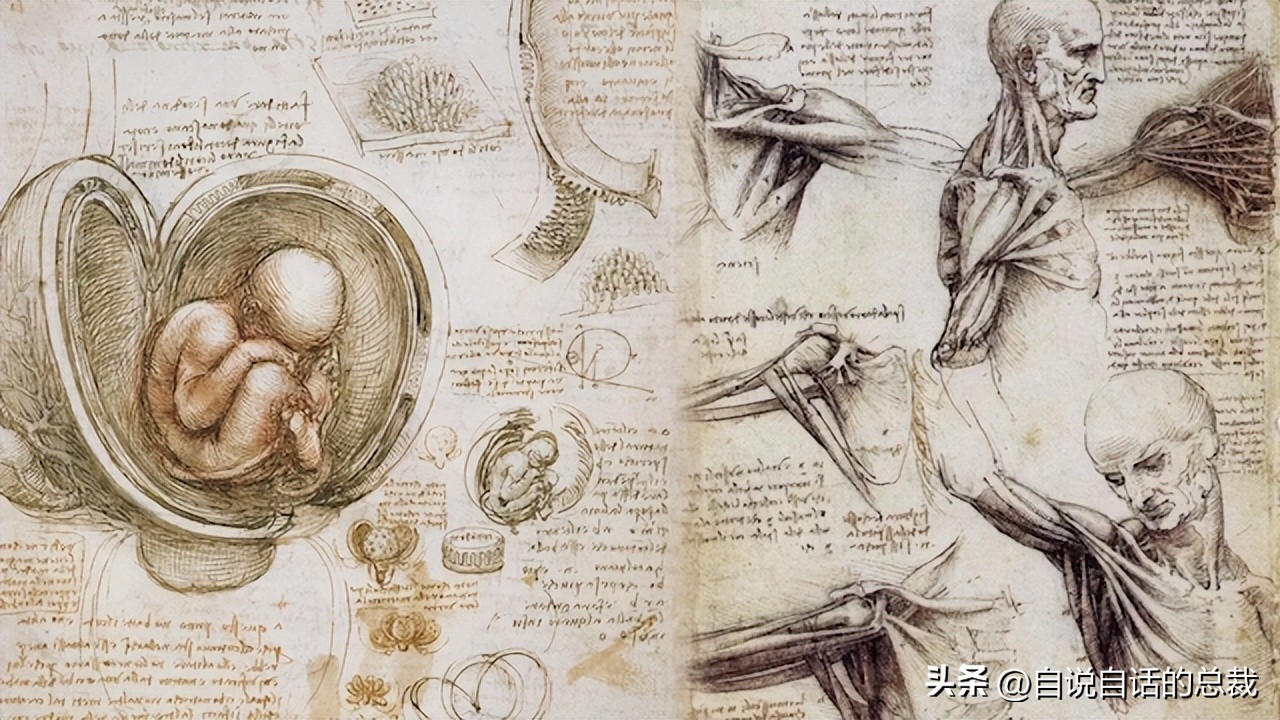 达芬奇密码中的圣杯是什么,达芬奇密码圣杯公开会怎样