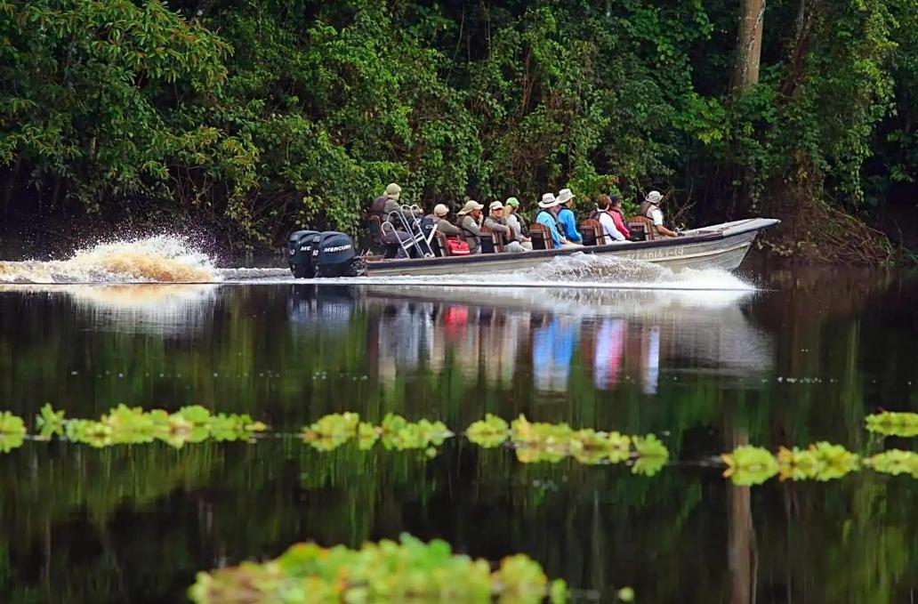亚马逊河为什么没一座桥能跨过它,亚马逊河有多少桥梁