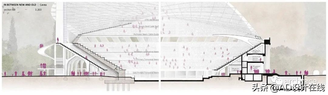 弗兰基球场改建,佛罗伦萨弗兰基球场