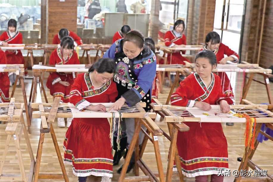 重庆日报特刊聚焦彭水：“九苗”归一兴苗乡“三品”合璧强产业