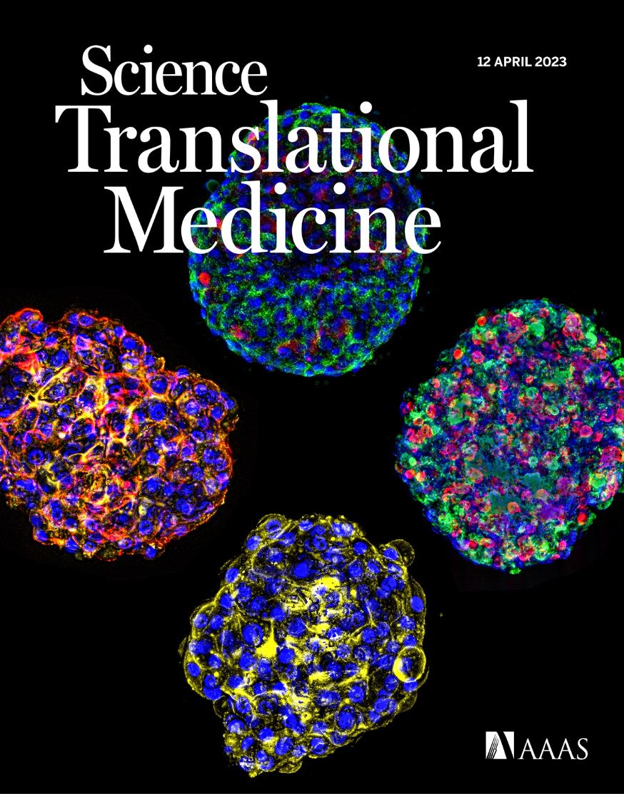 science子刊投稿,糖尿病胰岛移植最新进展