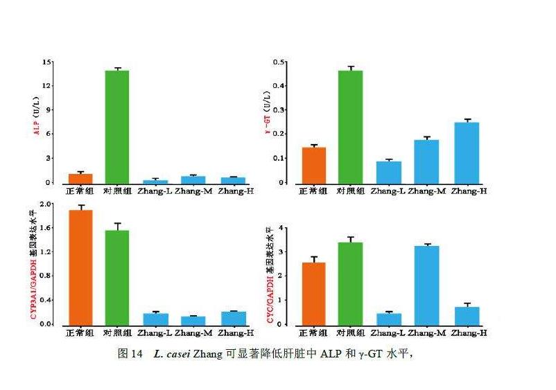 血清谷氨酰基转移酶高是怎么回事,血清谷氨酰转移酶升高是怎么回事