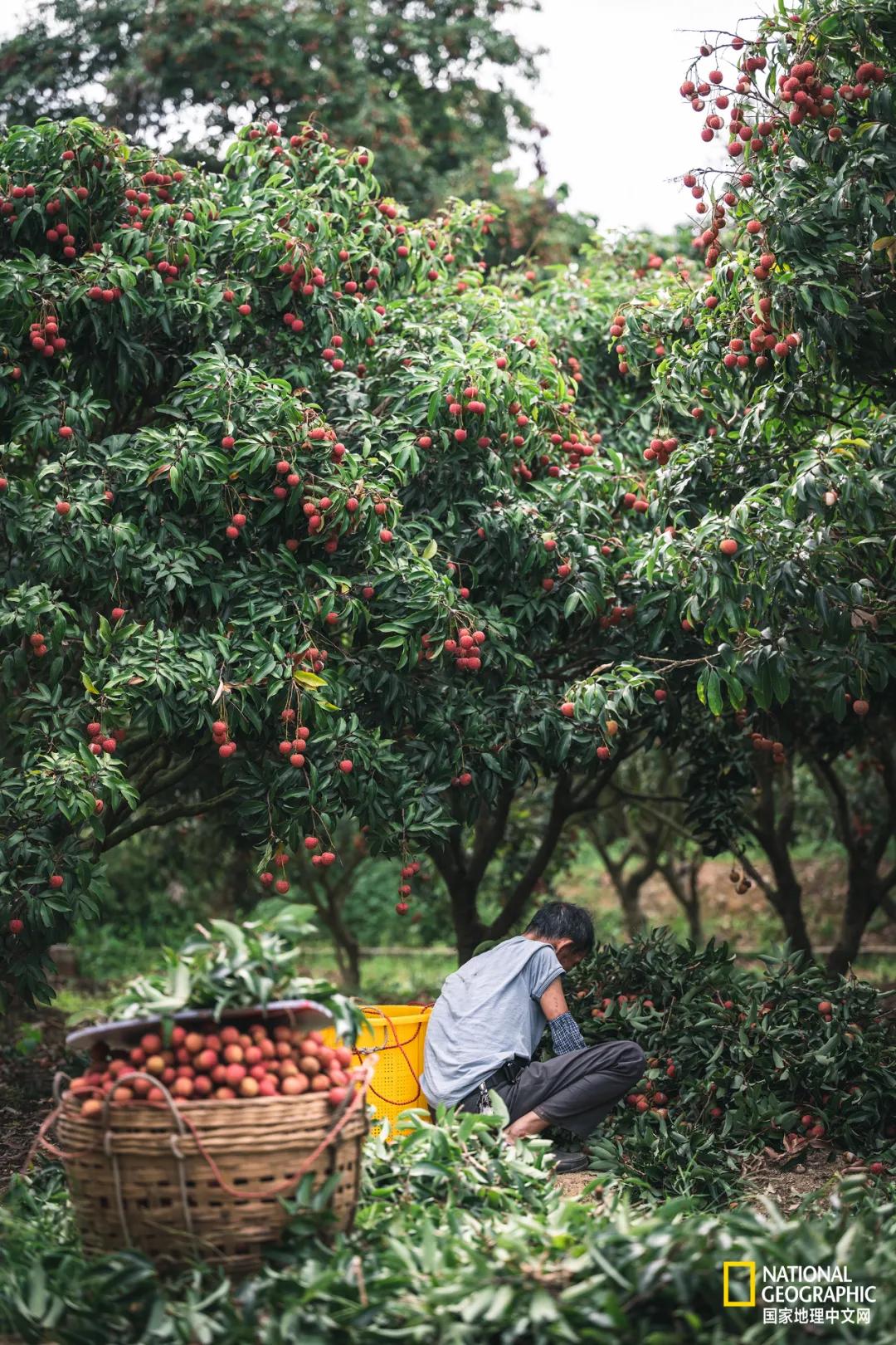 国家地理中文网英文,国家地理中文网在哪里