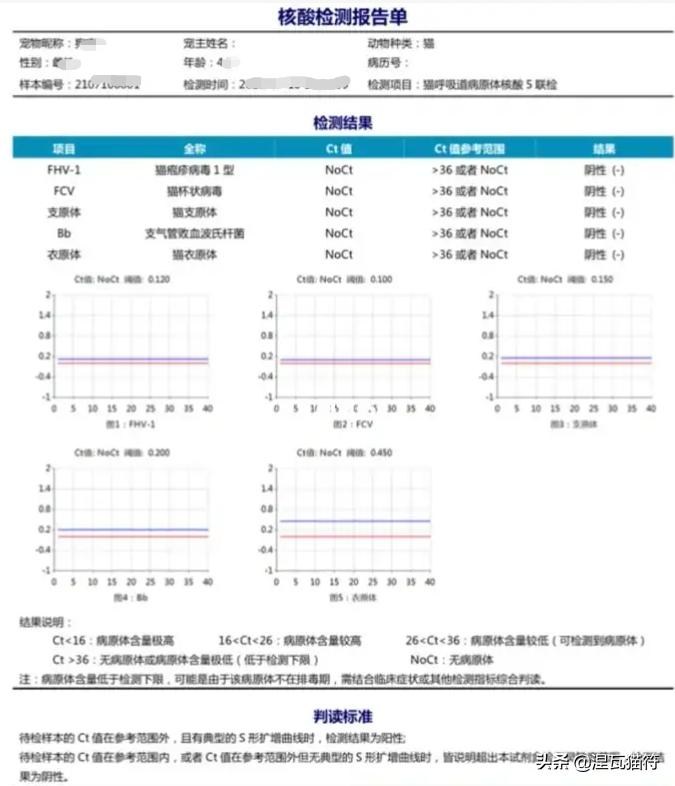 猫疱疹病毒和猫杯状病毒pcr的区别,猫咪疱疹病毒猫鼻支症状