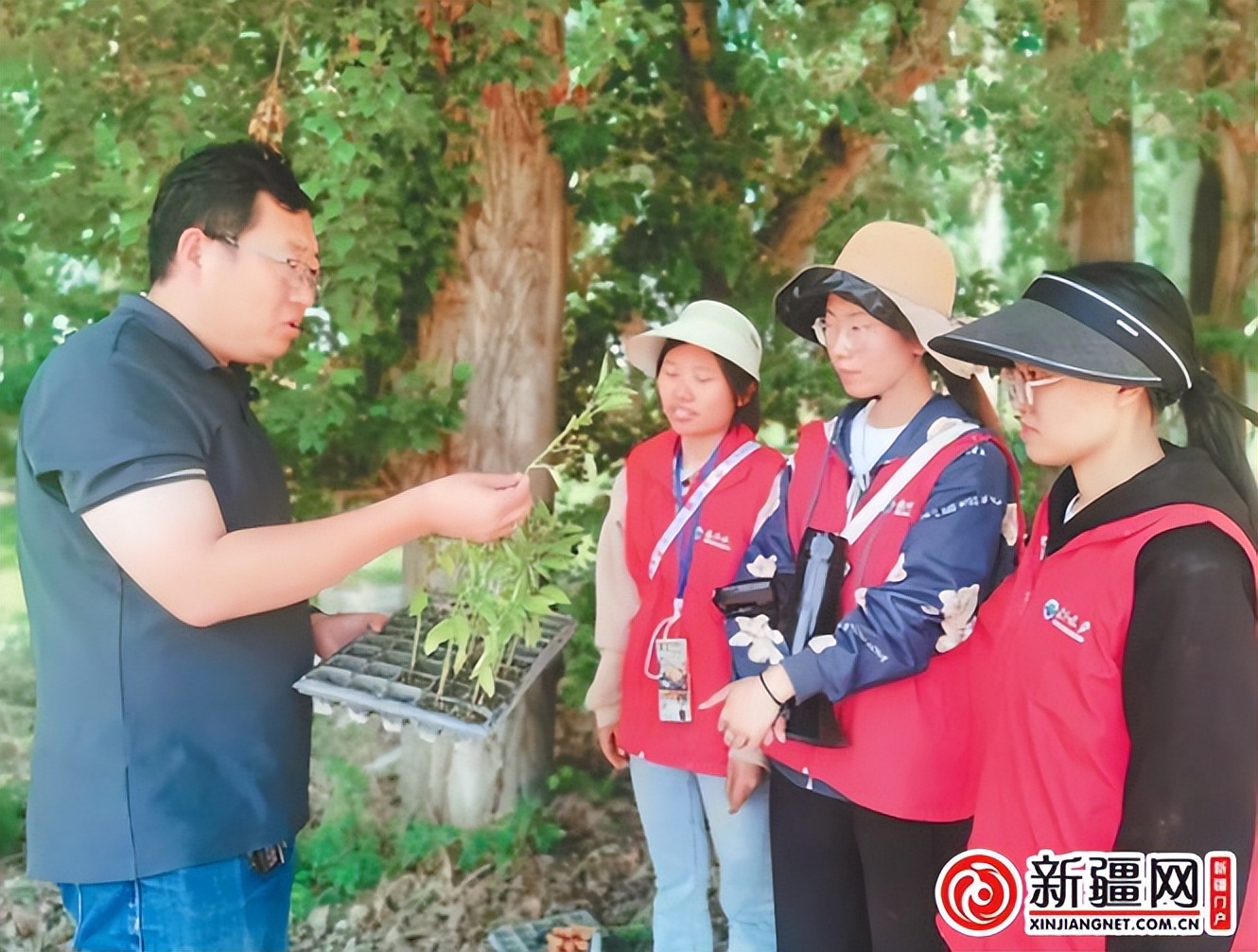 农业大学与乡村振兴,新疆农业大学农村发展课程表