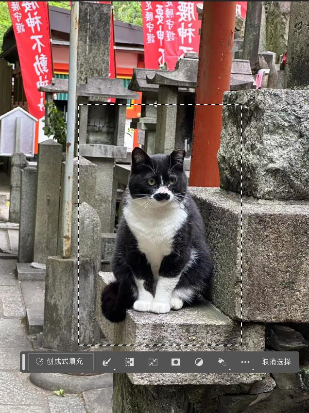 ps免费在线工具,ps软件p图教程详细步骤