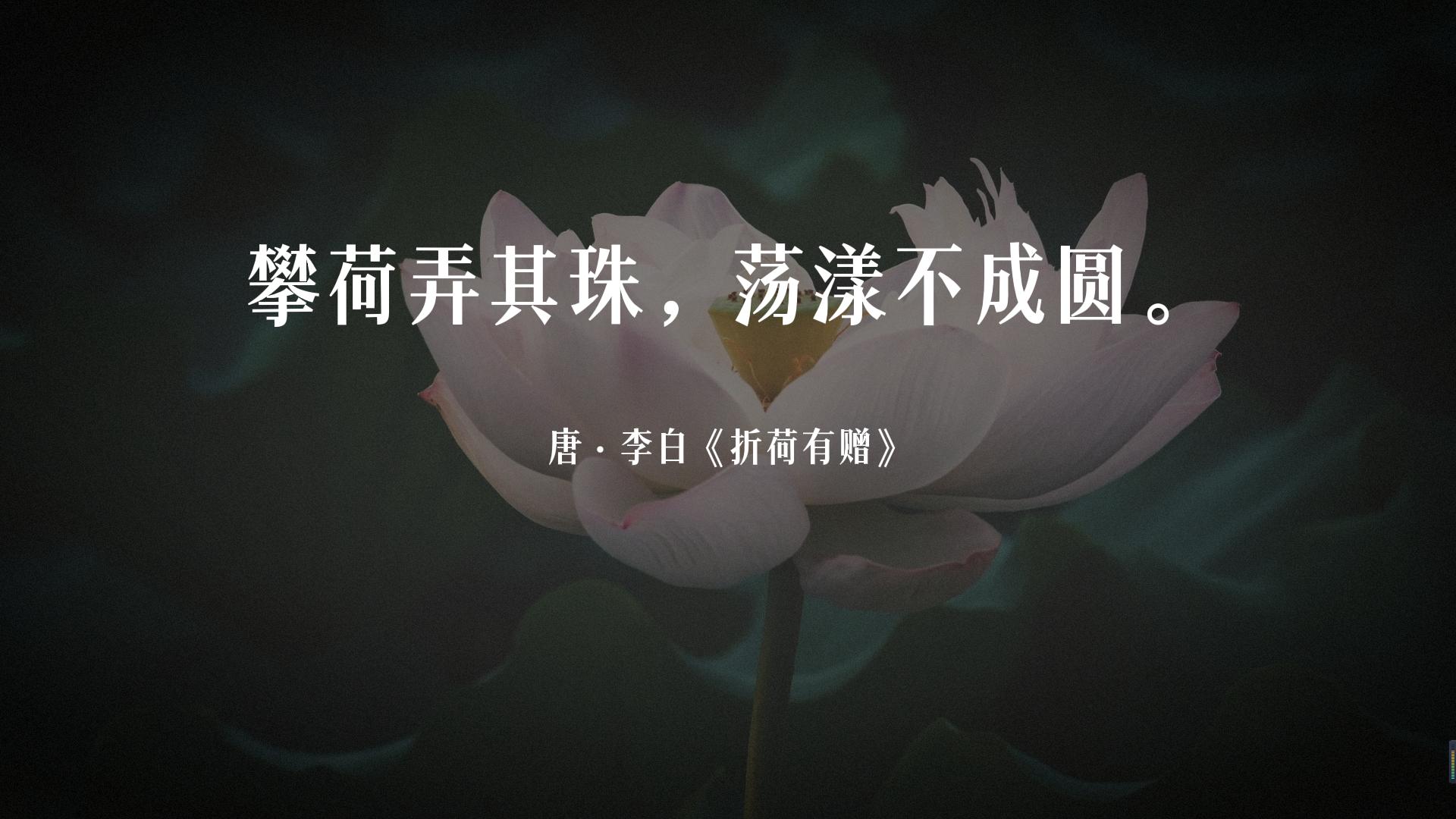 荷风送香气竹露滴清响是写荷花吗,古诗词经典唯美名句关于荷花的