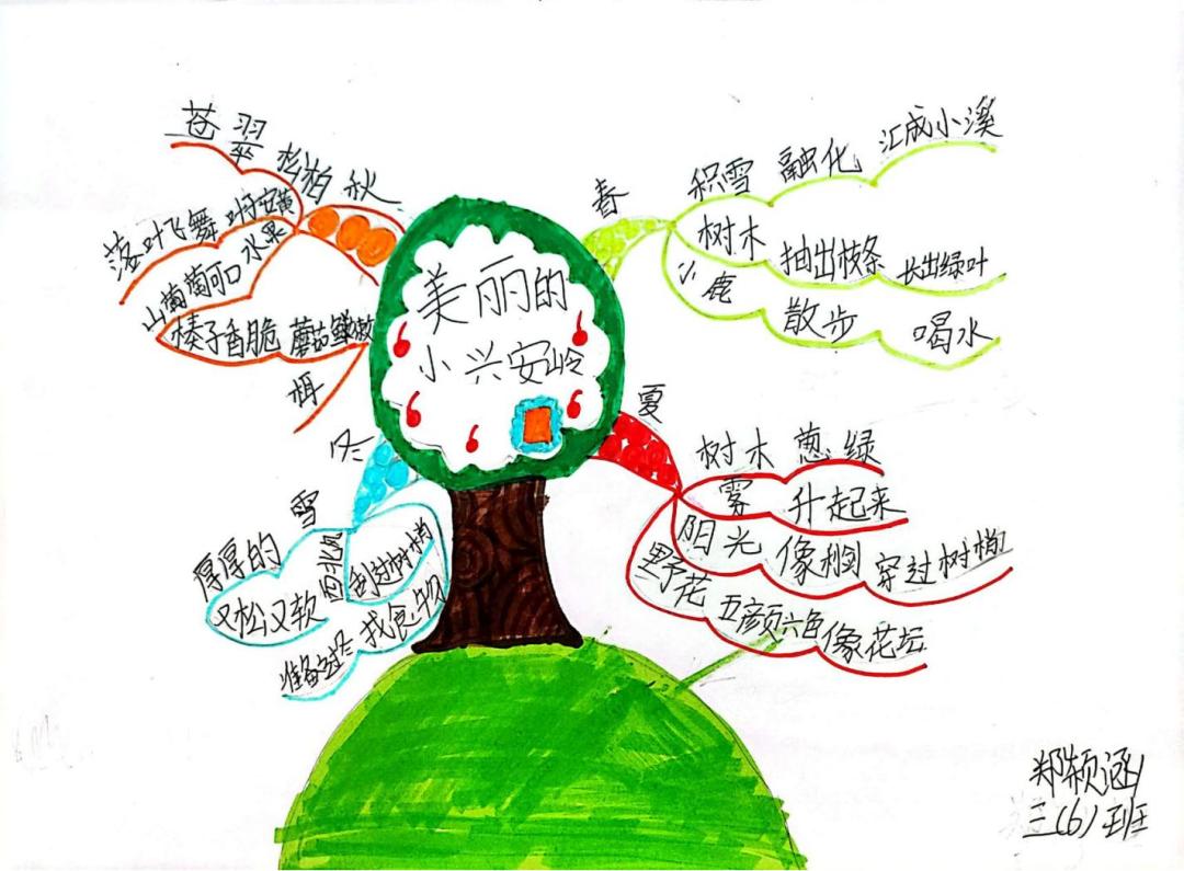 双减优秀案例从哪几个方面写,双减作业案例获奖范文