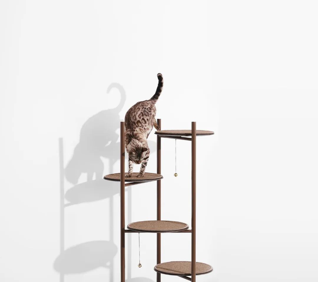 2022年iF设计奖：宠物用品类