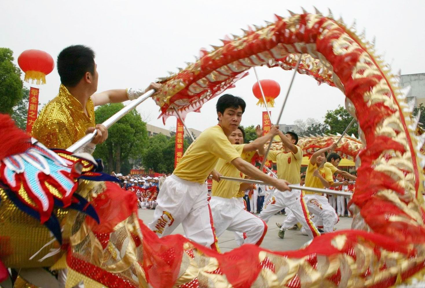 ＃新年献礼＃：岁月如歌开创万医康养康多多代购消费新局面