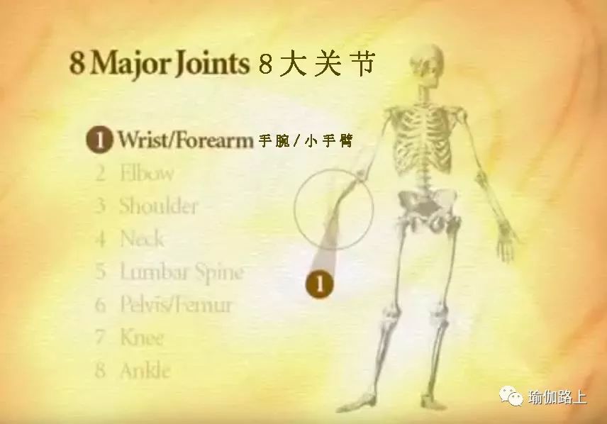 练瑜伽半年怎么走向高阶体式,练瑜伽我们不需要追求高难度体式