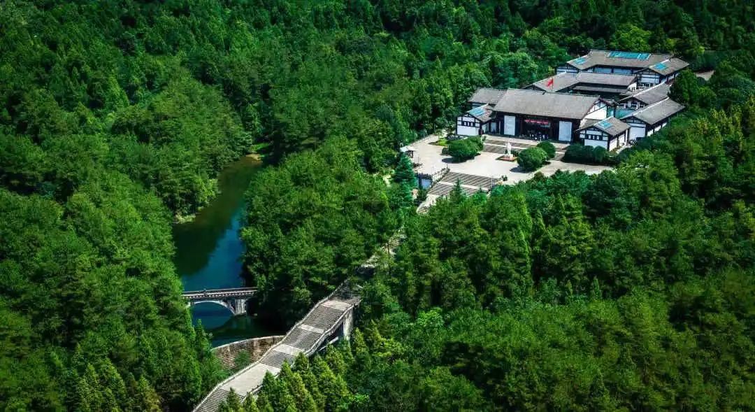 什么是南充菜,什么是南充菜图片