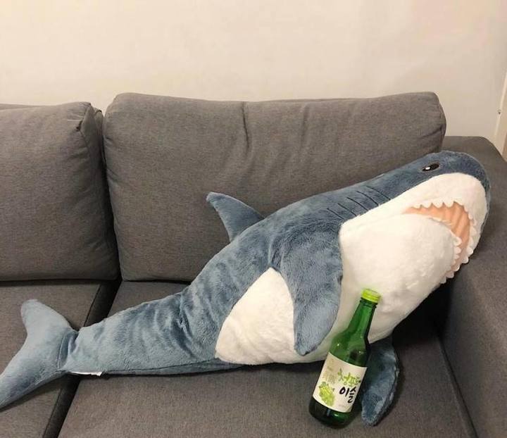 几十块的「雪糕刺客」让人心痛,几百块一只的毛绒玩具抢着买单