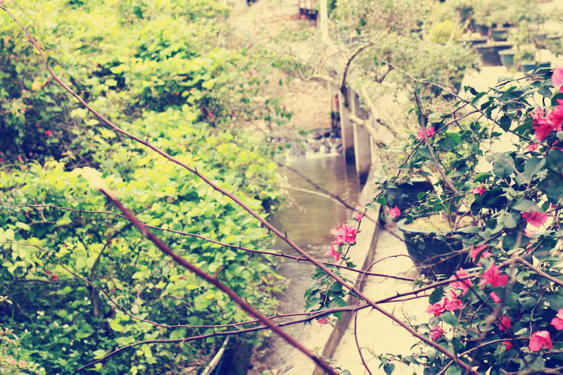 未来最容易被淘汰的十大专业,已经烂大街的六大文科专业