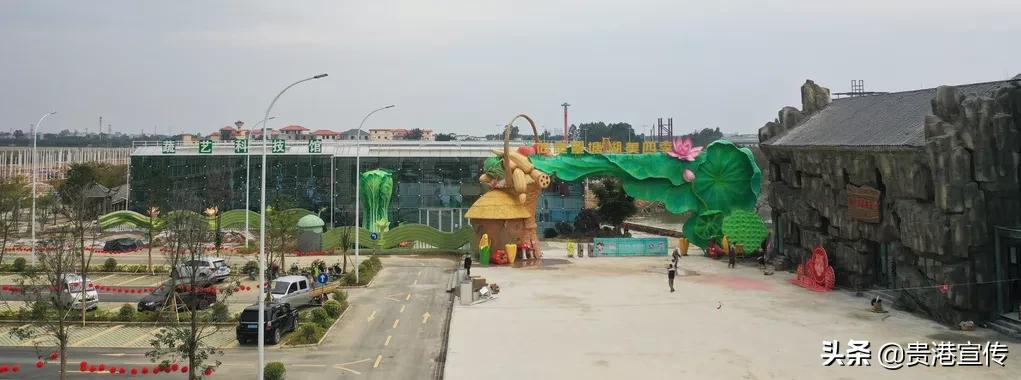 春节贵港一日游最佳攻略,春节贵港去哪里玩