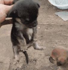 每日一笑逗乐妹子,每日一逗完整版